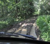 Охота на кабана август 2013 г.(Челябинская область)