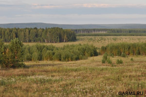 Охота на лося сентябрь 2013 г.(Челябинская область)