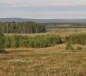 Охота на лося сентябрь 2013 г.(Челябинская область)
