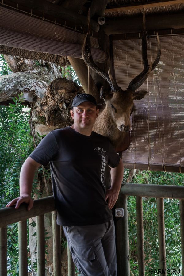 Охота на Яванского оленя ноябрь 2013 г (Маврикий)