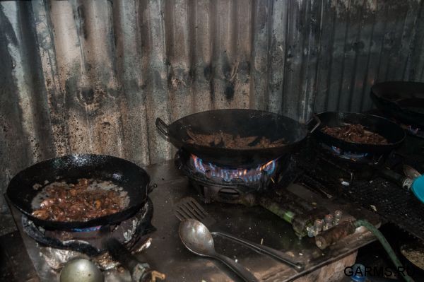 Охота на Яванского оленя ноябрь 2013 г (Маврикий)