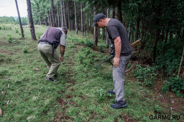 Охота на Яванского оленя ноябрь 2013 г (Маврикий)