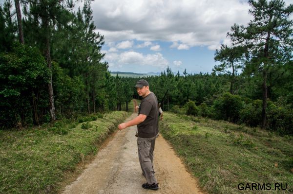 Охота на Яванского оленя ноябрь 2013 г (Маврикий)