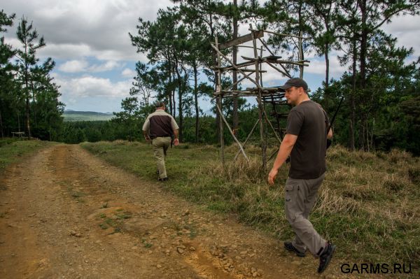 Охота на Яванского оленя ноябрь 2013 г (Маврикий)