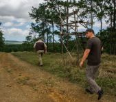 Охота на Яванского оленя ноябрь 2013 г (Маврикий)