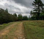 Охота на Яванского оленя ноябрь 2013 г (Маврикий)