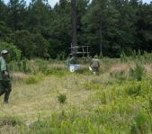 Охота на Яванского оленя ноябрь 2013 г (Маврикий)