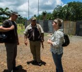 Охота на Яванского оленя ноябрь 2013 г (Маврикий)