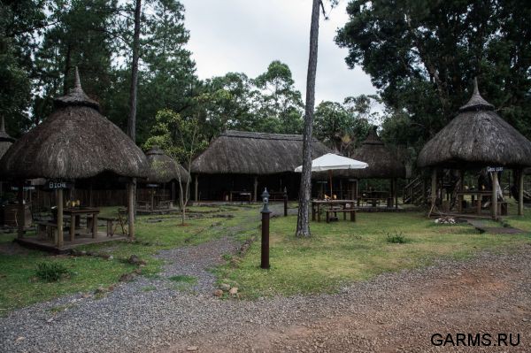 Охота на Яванского оленя ноябрь 2013 г (Маврикий)