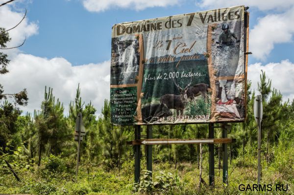 Охота на Яванского оленя ноябрь 2013 г (Маврикий)