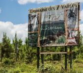 Охота на Яванского оленя ноябрь 2013 г (Маврикий)