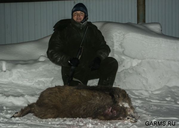 Охота на кабана и зайца январь 2014 г. (Челябинская обл.)