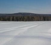 Охота на кабана и зайца январь 2014 г. (Челябинская обл.)