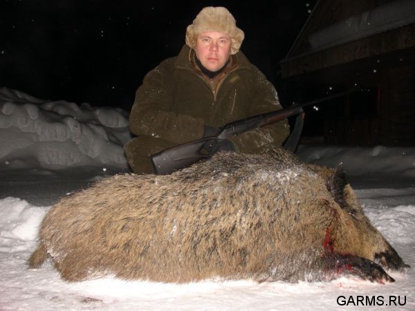 Охота на кабана и зайца январь 2014 г. (Челябинская обл.)