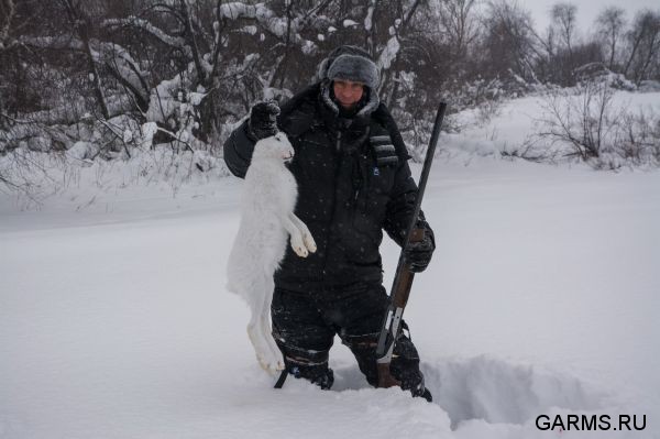 Охота на кабана и зайца январь 2014 г. (Челябинская обл.)