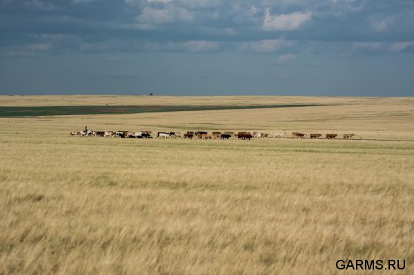 Охота на сурка июль 2014 г.(Челябинская область)