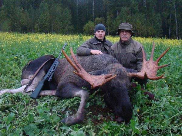 Охота на лося и козла сентябрь 2014 г (Челябинская область)