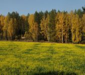 Охота на лося сентябрь 2014 г.(Челябинская область)