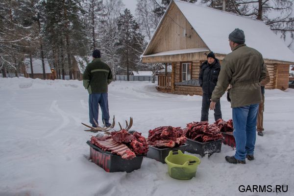 Открытие зимней охоты ноябрь 2014 г. (Челябинская область)