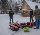 Открытие зимней охоты ноябрь 2014 г. (Челябинская область)