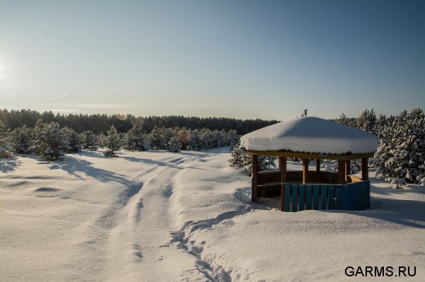 Охота на кабана январь 2015 г.(Челябинская область)