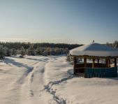 Охота на кабана январь 2015 г.(Челябинская область)