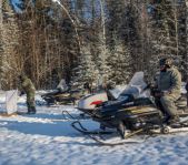 Охота на кабана январь 2015 г.(Челябинская область)