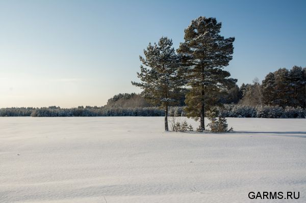 Охота на кабана январь 2015 г.(Челябинская область)
