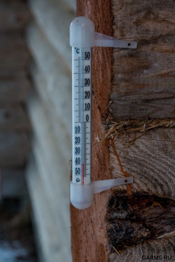 Охота на кабана январь 2015 г.(Челябинская область)