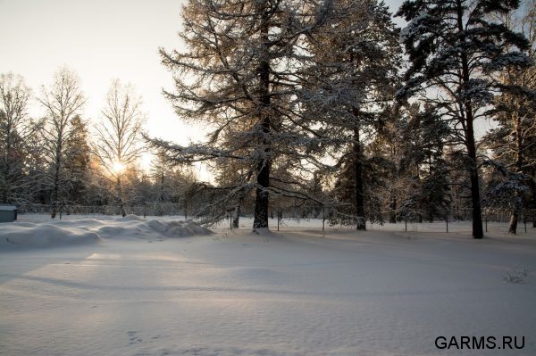 Охота на кабана январь 2015 г.(Челябинская область)