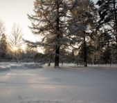 Охота на кабана январь 2015 г.(Челябинская область)