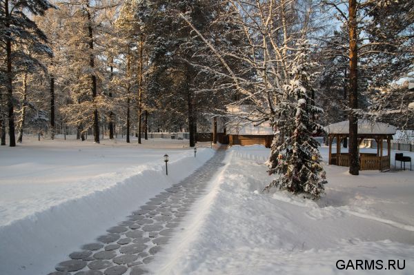 Охота на кабана январь 2015 г.(Челябинская область)