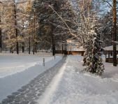 Охота на кабана январь 2015 г.(Челябинская область)