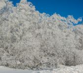 Закрытие зимней охоты февраль 2015 г. (Челябинская область)