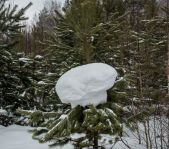 Закрытие зимней охоты февраль 2015 г. (Челябинская область)