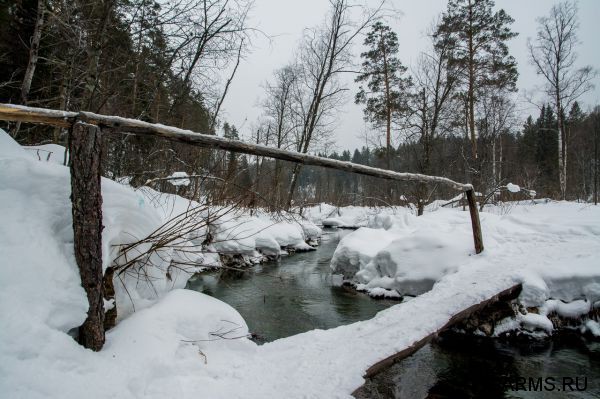 Закрытие зимней охоты февраль 2015 г. (Челябинская область)