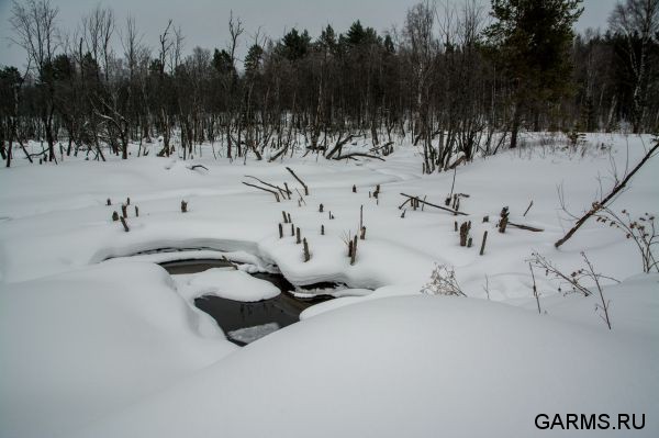 Закрытие зимней охоты февраль 2015 г. (Челябинская область)