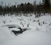 Закрытие зимней охоты февраль 2015 г. (Челябинская область)