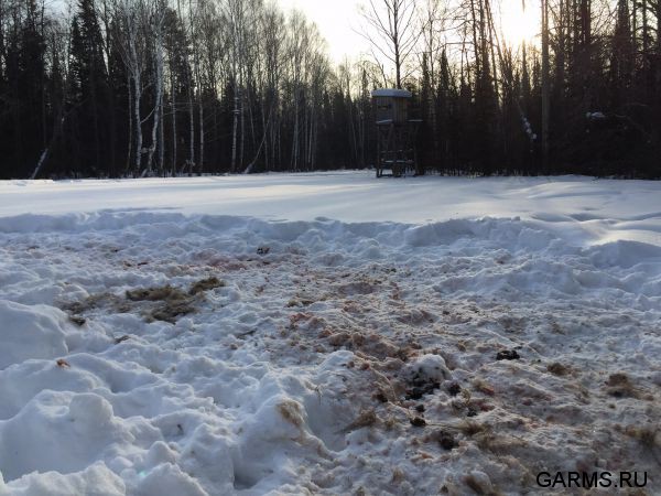 Закрытие зимней охоты февраль 2015 г. (Челябинская область)