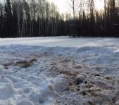 Закрытие зимней охоты февраль 2015 г. (Челябинская область)
