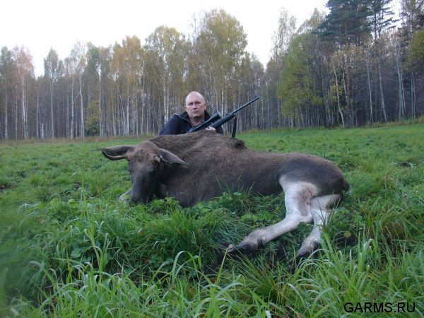 Охота на лося сентябрь 2015 г. (Челябинская область)