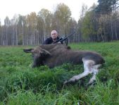 Охота на лося сентябрь 2015 г. (Челябинская область)