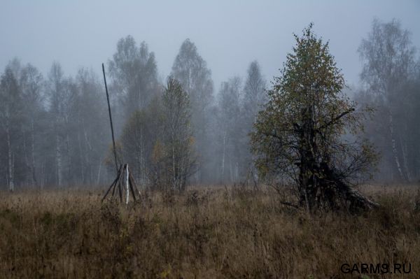 Охота на лося сентябрь 2015 г. (Челябинская область)