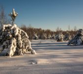 Охота на кабана январь-февраль 2016 г.(Челябинская область)