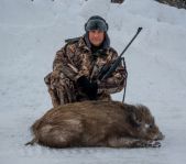 Охота на кабана январь-февраль 2016 г.(Челябинская область)