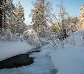 Охота на кабана январь-февраль 2016 г.(Челябинская область)