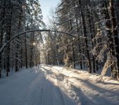 Охота на кабана январь-февраль 2016 г.(Челябинская область)