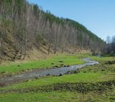 Охота на глухаря апрель 2016 г.(Челябинская область)