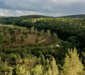 Охота на кабана август 2016 г. (Свердловская область)