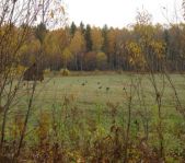 Осенняя охота сентябрь 2012 г.(Челябинская область)